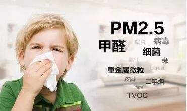 t01cd2c4b0a301b0b00.jpg