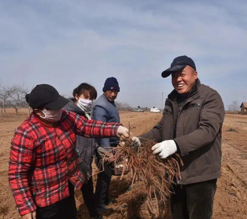 种植致富经_致富种植什么比较赚大钱_致富种植养殖