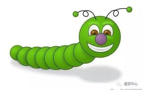 金杆菌制剂 ,噻虫嗪,氟虫腈,溴氰菊酯,高效氯氰菊酯,氯氰菊酯,茚虫威