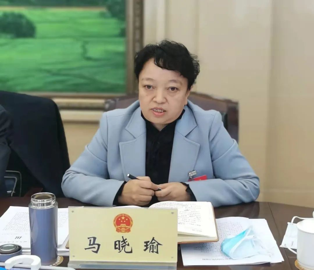 我县代表分组审议省政府工作报告青海省国民经济和社会发展计划和政府