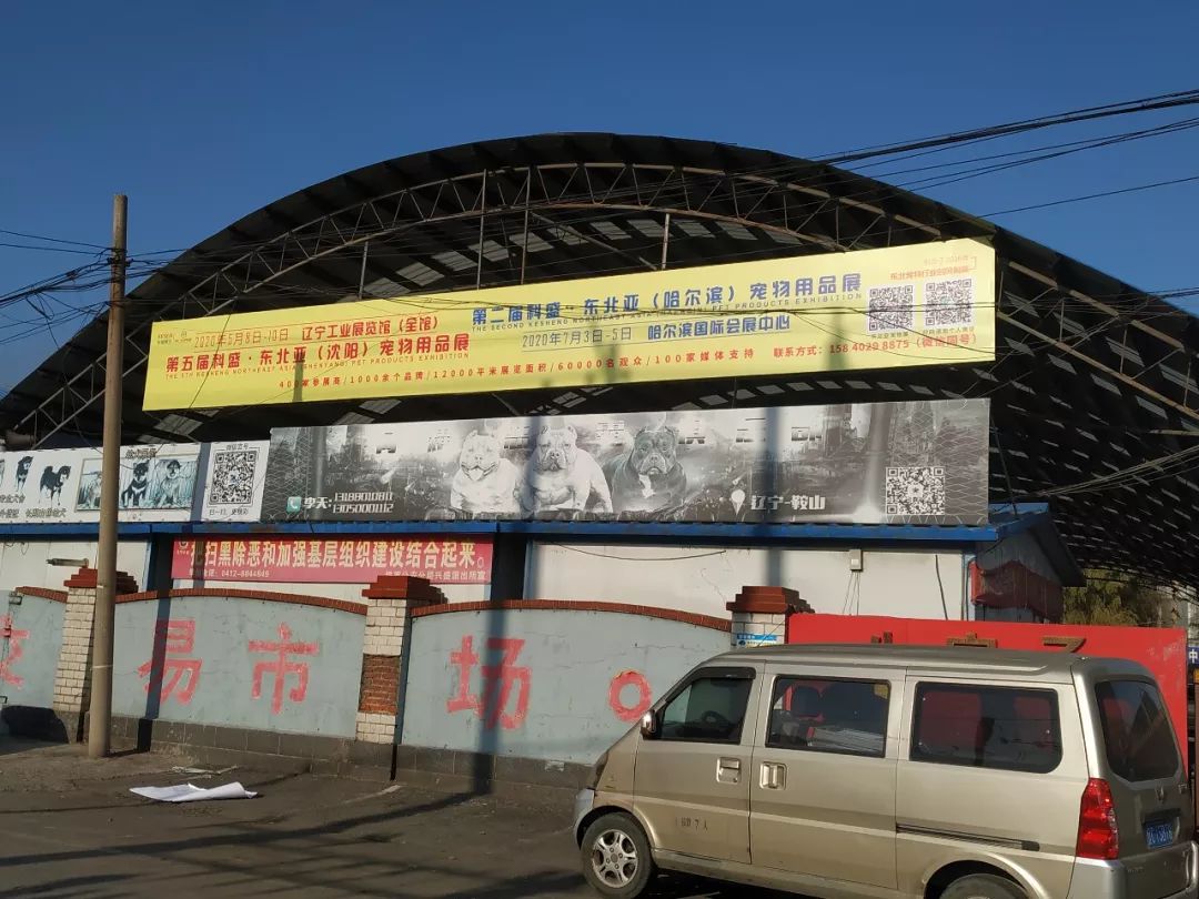 沈阳宠物用品批发市场_沈阳批发水草市场_沈阳五爱市场母婴用品批发