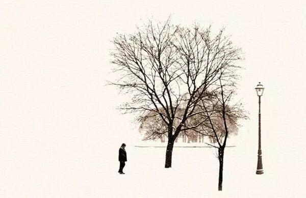 



寂寞豪华皆有意
