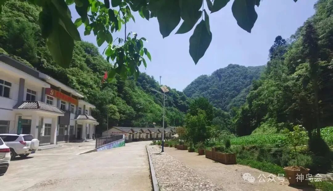 大快朵颐：神农架2025年6月鸟讯