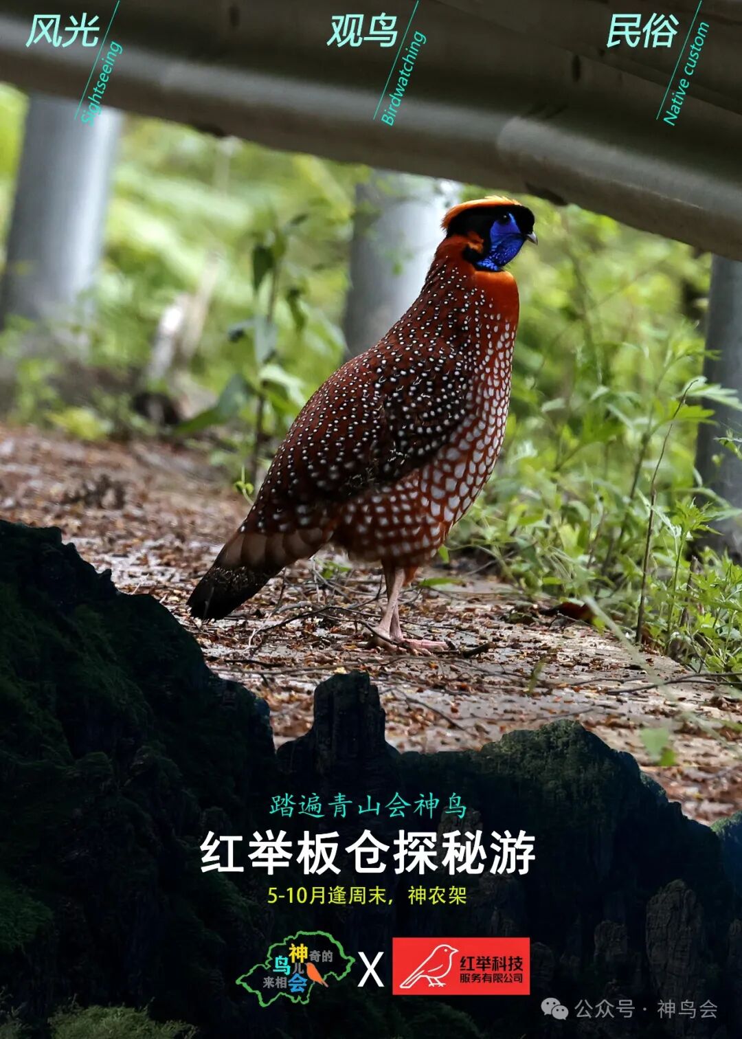 红举板仓探秘游