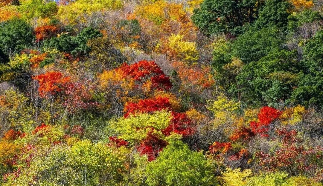 红举板仓探秘游