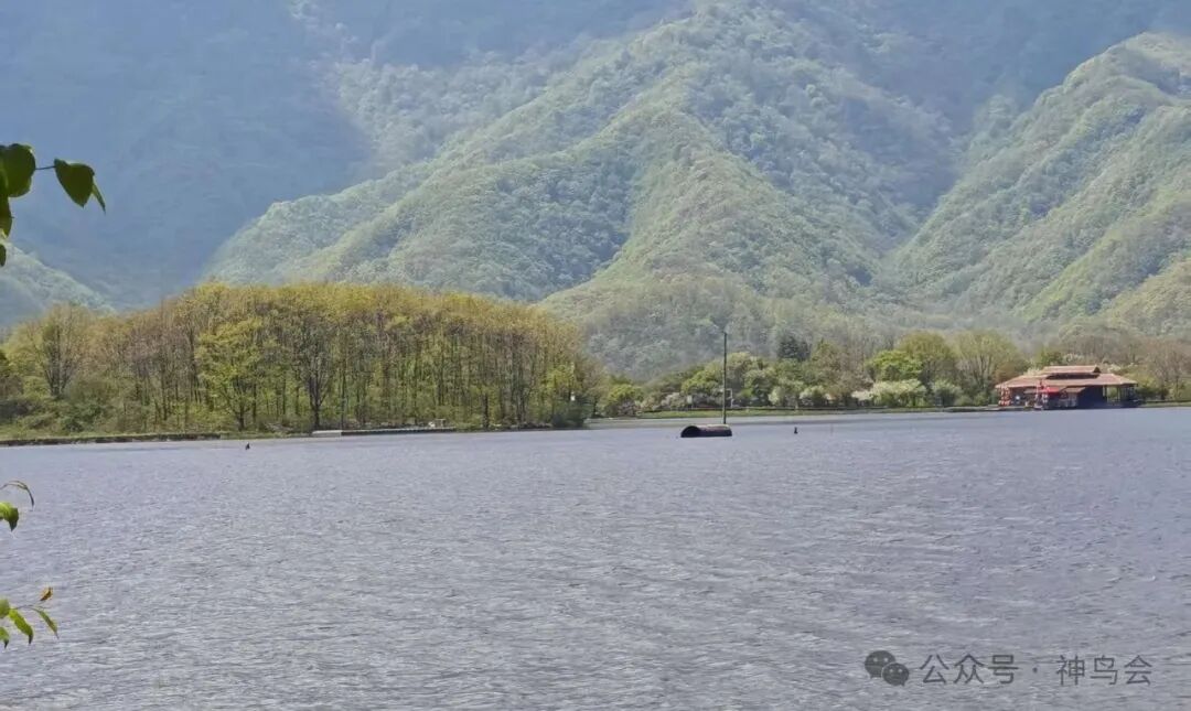 水之缘，鸟之缘，情之缘