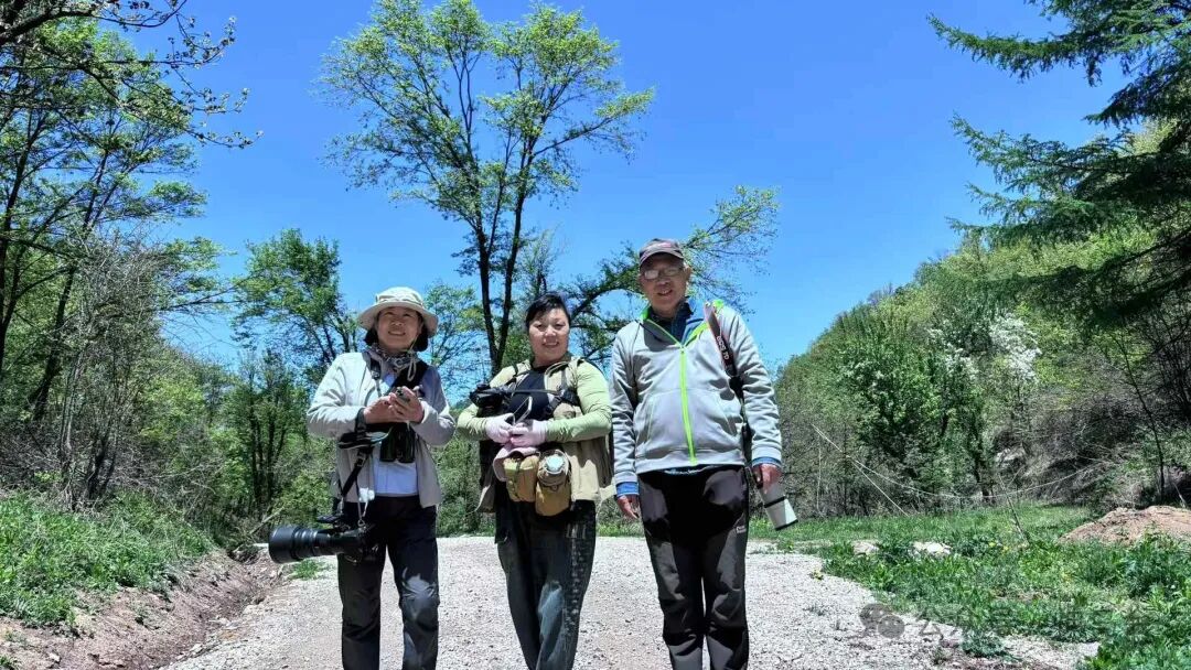 水之缘，鸟之缘，情之缘