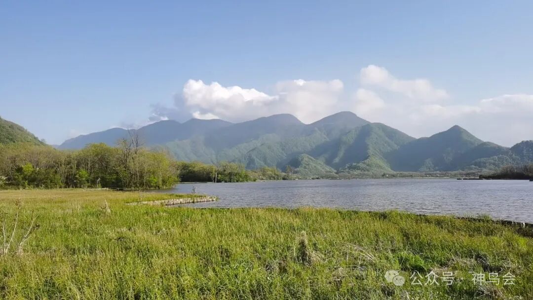 水之缘，鸟之缘，情之缘
