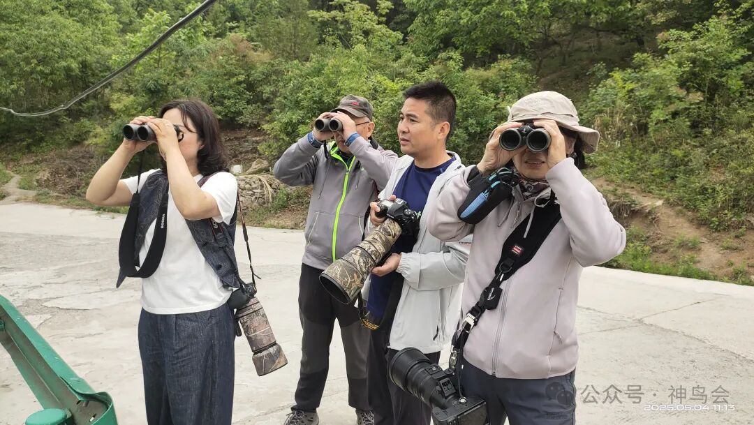 水之缘，鸟之缘，情之缘