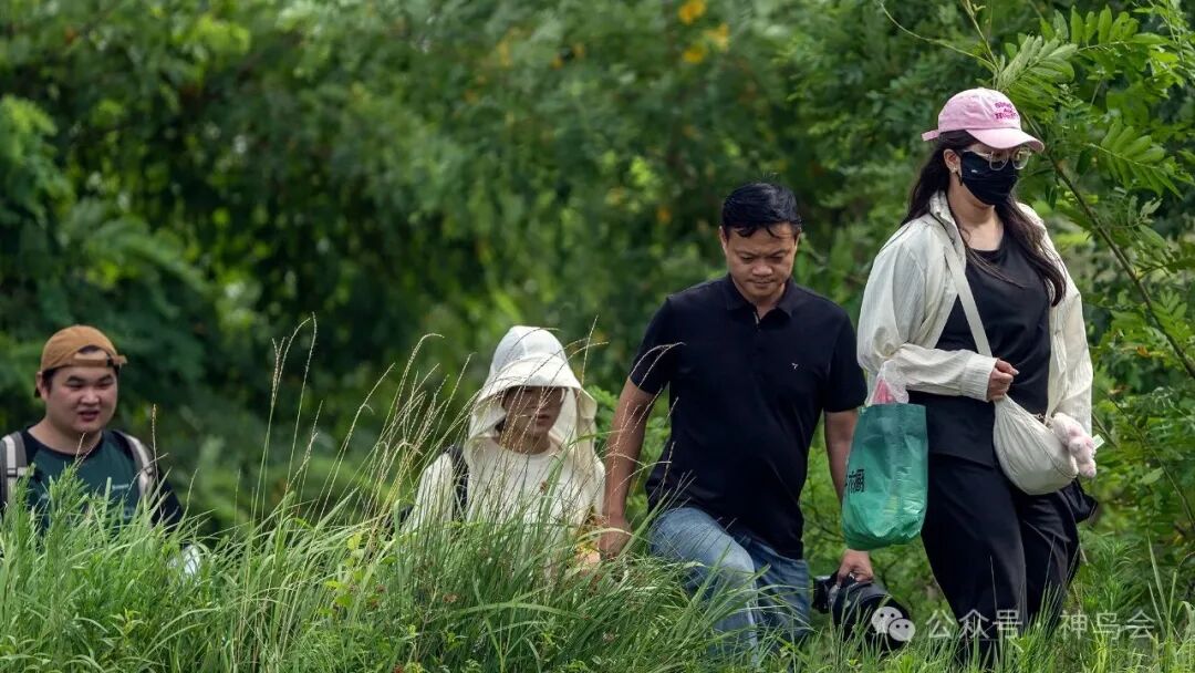 红安七里坪：镜头里的生态与生机