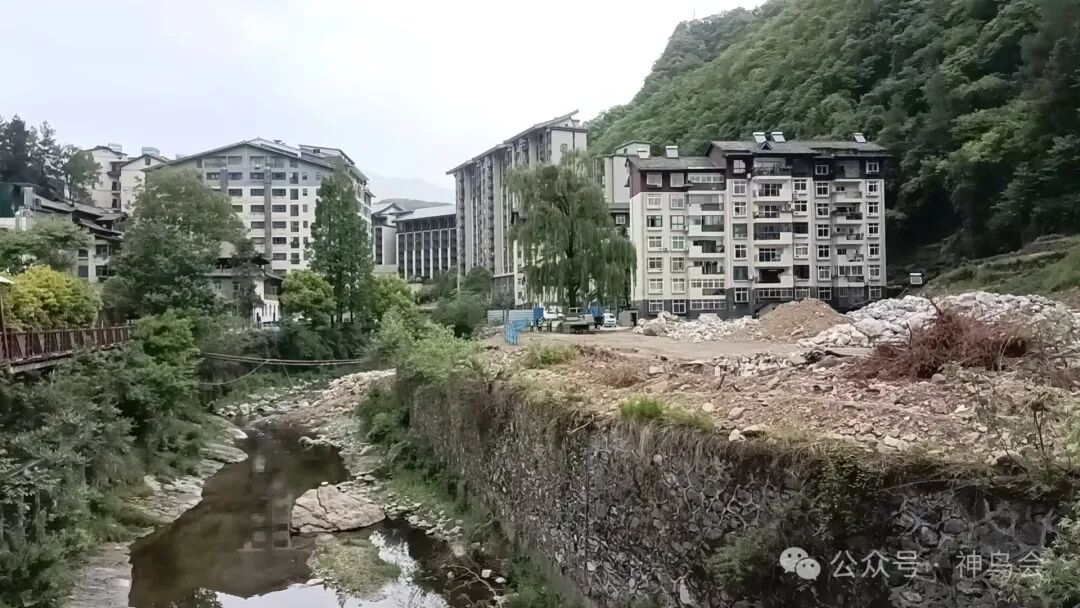 林海雀跃：神农架2025年5月鸟讯