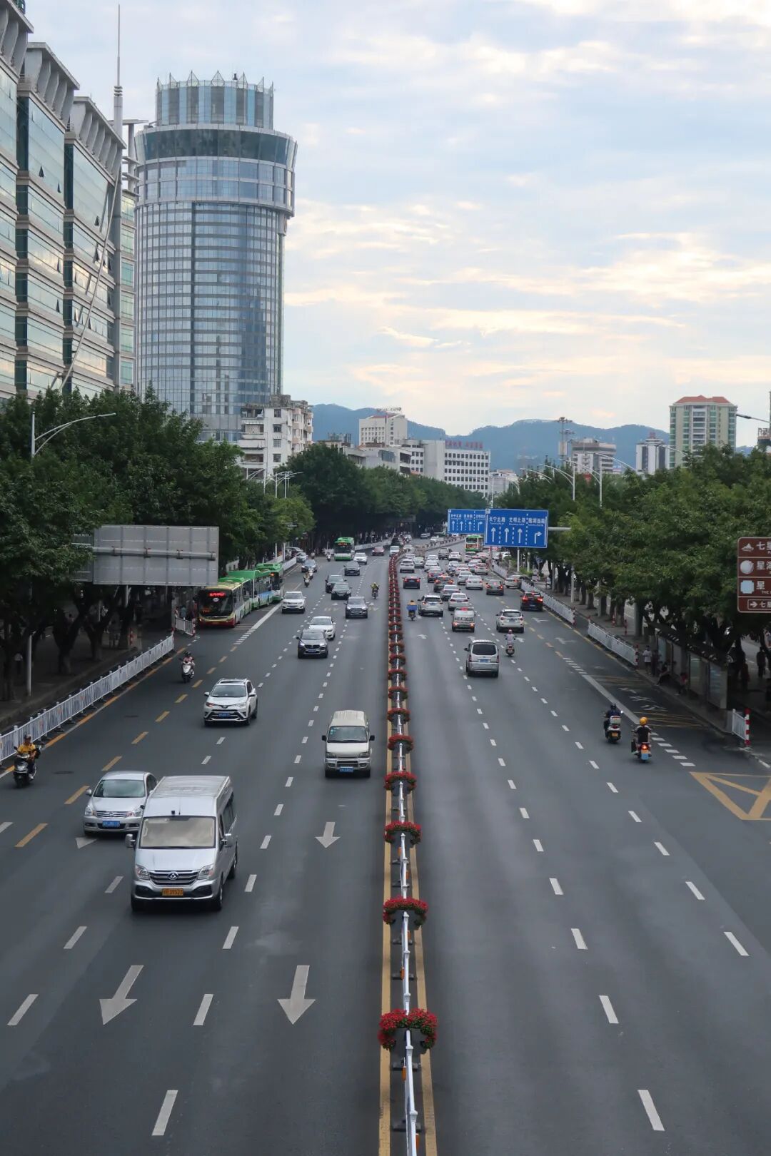 你发现了吗城区多条主干道鲜花路放