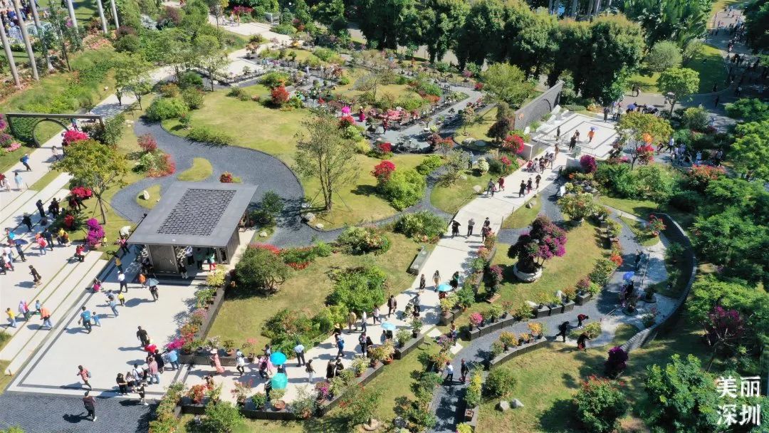 11月19日起,蓮花山公園需線上預約方可入園!_讀特新聞客戶端