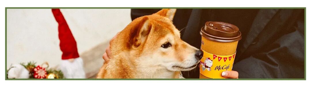 ������Ķ�����Ӭ���ӣ�̫����