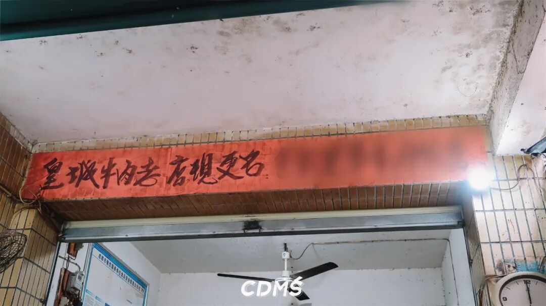 ������Ķ�����Ӭ���ӣ�̫����