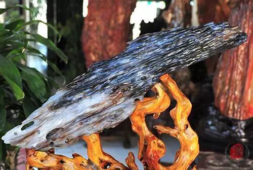 读懂了木性，就读懂了中国人