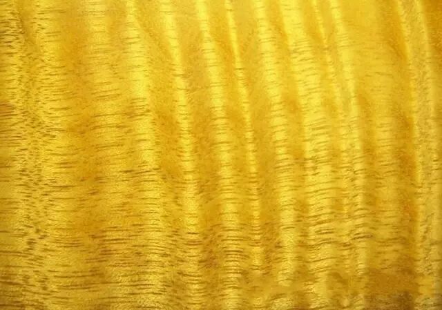 金丝楠、黄心楠和黄金樟区别