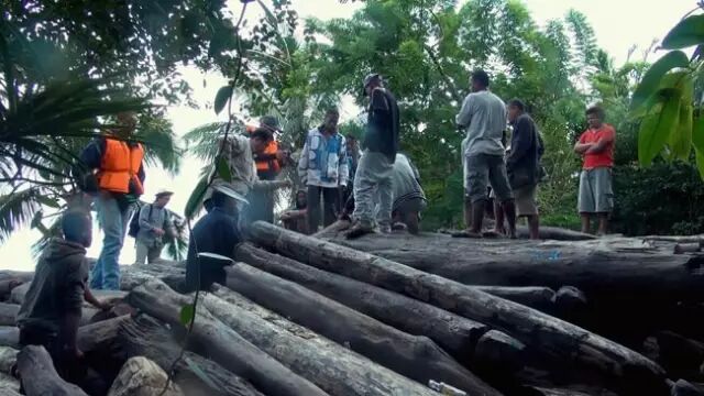 这18种红木已列入国际濒危保护，以后将难以买的！