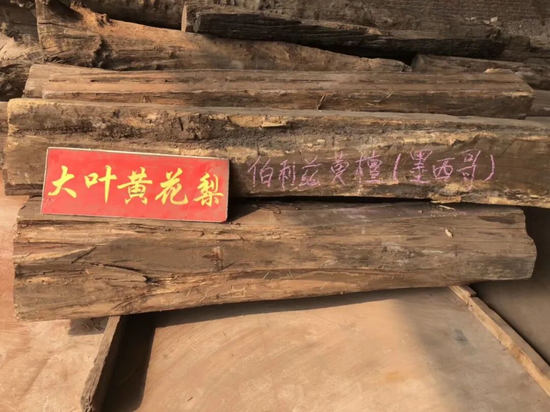 警惕！冒充黄花梨大料，已有人上当受骗，误把伯利兹当黄花梨收藏