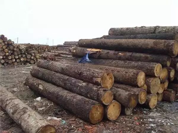 无木可用，红木家具行业还能走多久?