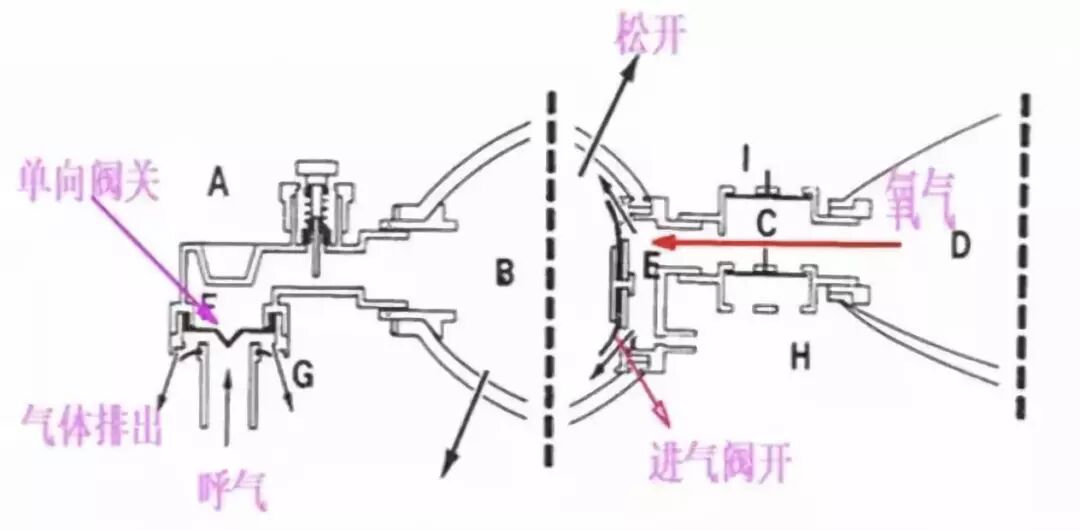 呼吸机呼气阀是什么简易呼吸器使用详解及注意事项_https://www.jmylbn.com_新闻资讯_第17张