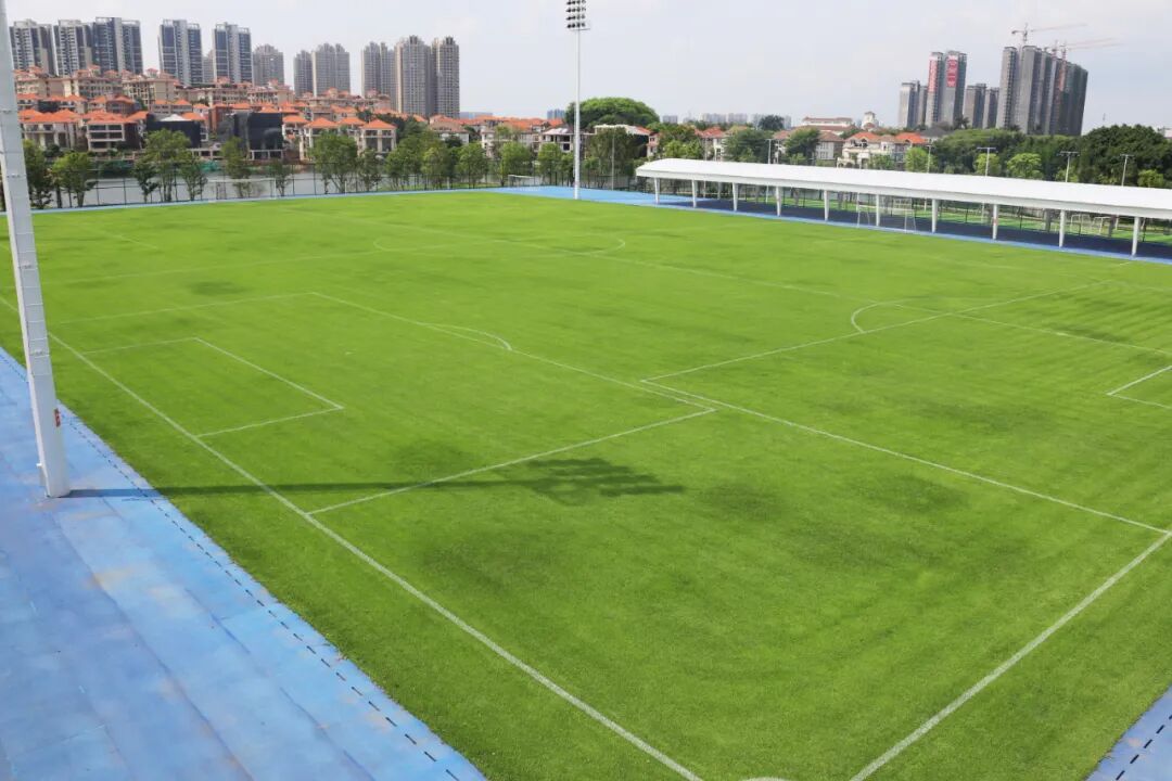 火力全开南海体育中心天然草足球场正式开放
