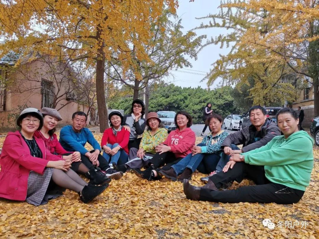 深秋时节哪里去，旅顺太阳沟赏金黄秋叶开心一日游