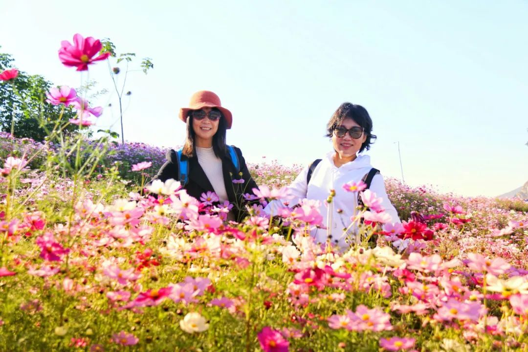 深秋时节哪里去，旅顺太阳沟赏金黄秋叶开心一日游