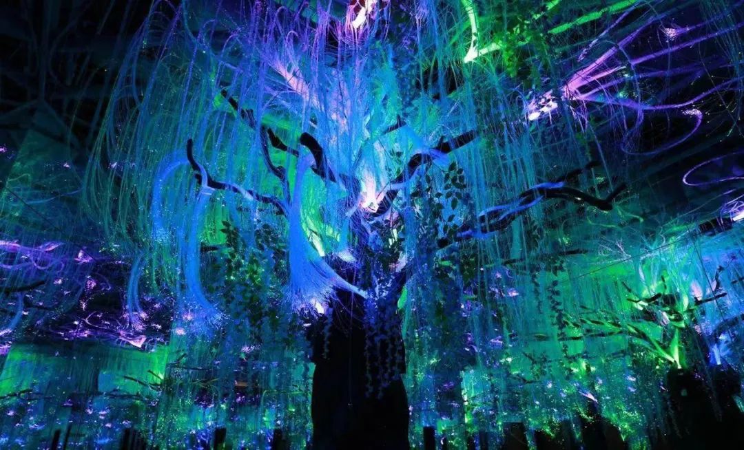 贵港191是什么医院首秀贵港！荷美覃塘 湖美四季梦幻西游主题夜游季9月28日起迎客！门票免费送！_https://www.jmylbn.com_新闻资讯_第29张