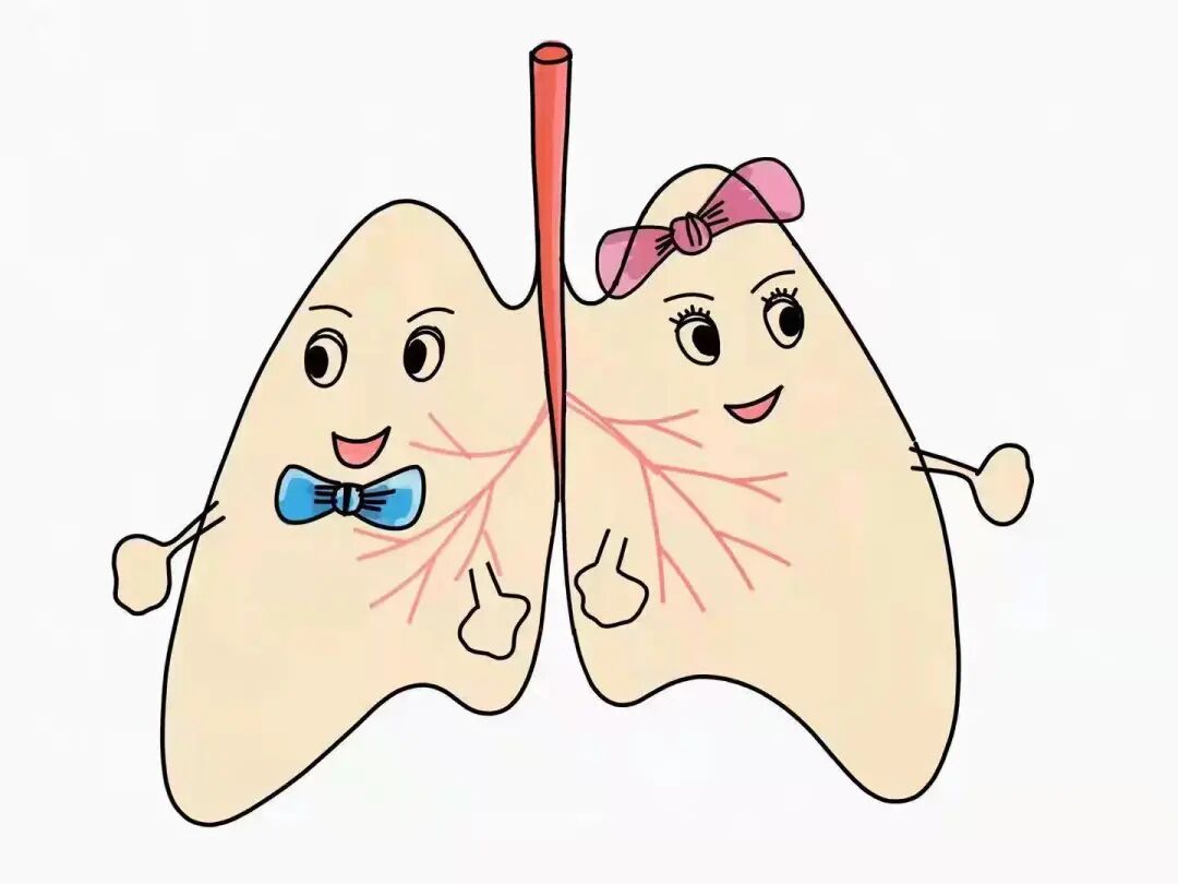 医用弹力袜用什么洗小肺科普 ｜ 医用弹力袜，您穿对了吗？_https://www.jmylbn.com_新闻资讯_第1张