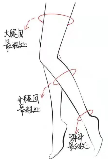 医用弹力袜用什么洗小肺科普 ｜ 医用弹力袜，您穿对了吗？_https://www.jmylbn.com_新闻资讯_第3张