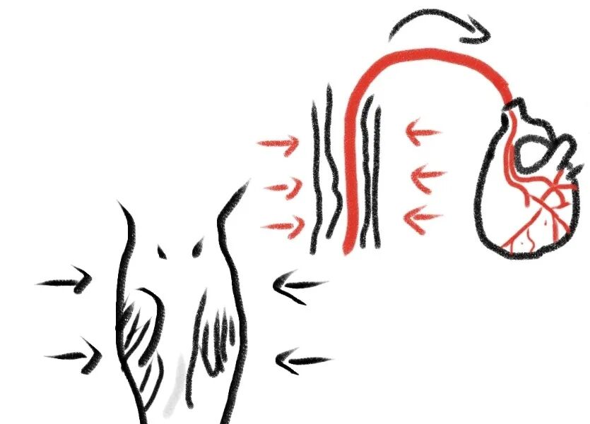 医用弹力袜用什么洗小肺科普 ｜ 医用弹力袜，您穿对了吗？_https://www.jmylbn.com_新闻资讯_第2张