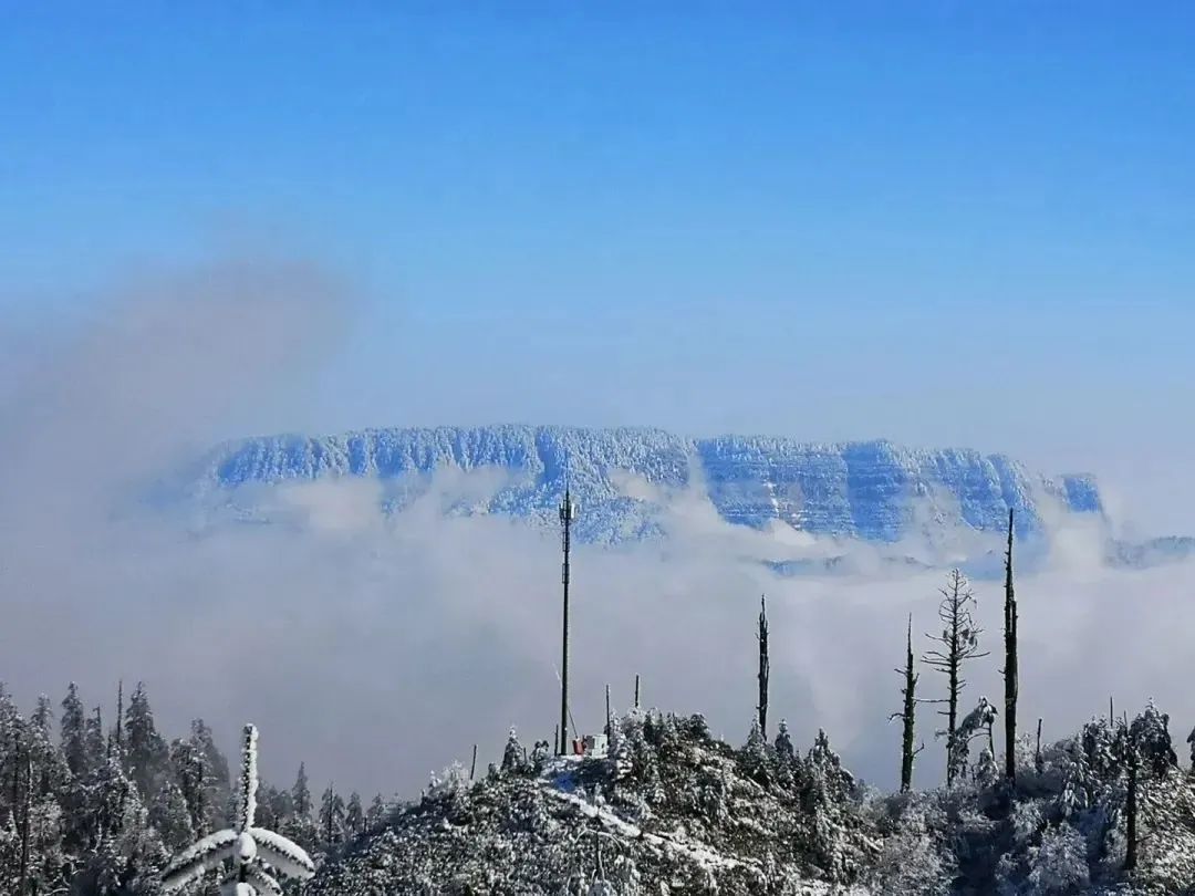 初雪已至 萬物披白,共赴桌山冰雪的盛宴