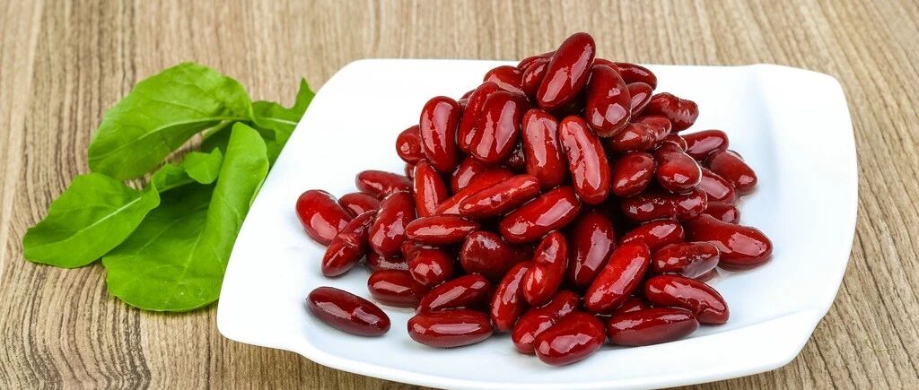 自古红豆最相思