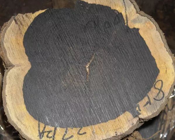 何为紫光檀？你一定要知道！！