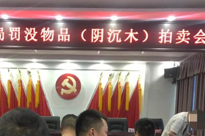 60万一吨拍来满身泥巴的金丝楠，洗出来价值超两千万