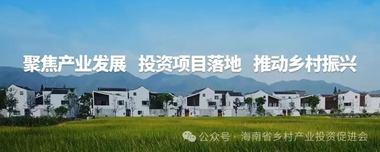 【投资咨询】2024全国县域旅游“百强县”出炉，请看有何新特点？新趋势？