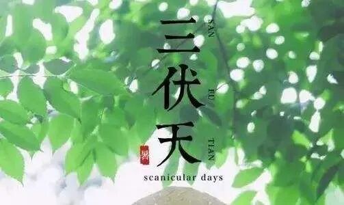 三伏天丨一年中最热的日子来了!