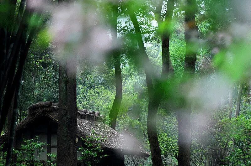 喝茶居然与性格有关系，大多数人都不知道！