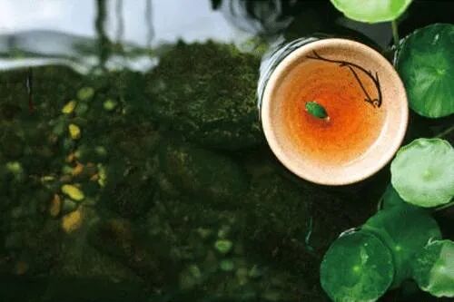 遇一杯好茶，共一人白首，择一城终老