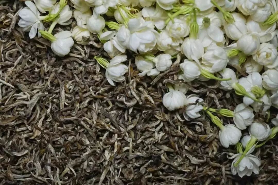 花茶窨制_窨制_花茶窨制技术 论文