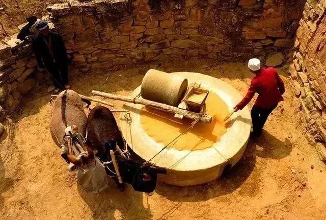 �������͸ó������ʳ��ƽ𡱣���θ���̲�������һ������ȫ�Ҷ���