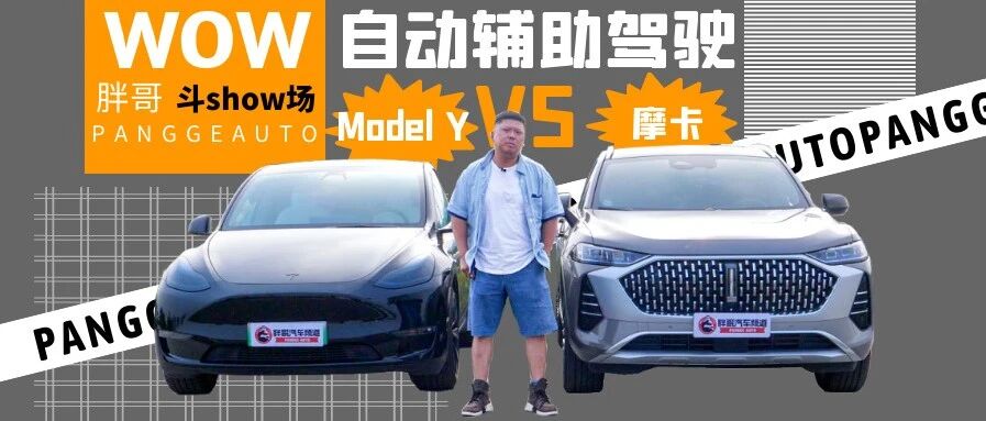 【胖哥试车】对于Model Y的自动辅助驾驶功能 WEY摩卡表示不服！