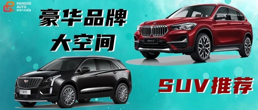 【胖哥选车】豪华品牌大空间，30万SUV能选谁？