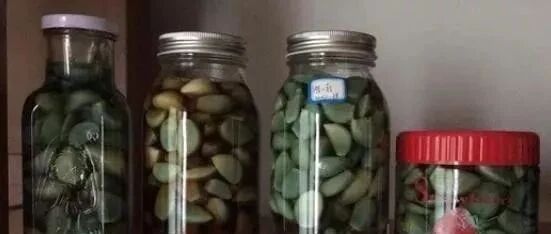 它是“天然青霉素”，每天3片，抗病、抗衰老、降三高，连外国人都抢着吃！