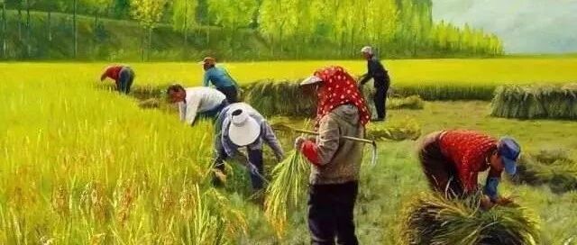 明日立秋！气温逐渐下降，教你如何应对身体的“多事之秋”