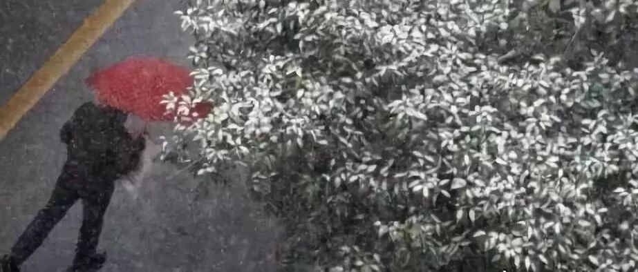 三九进九时间表，太实用了，送给大家！