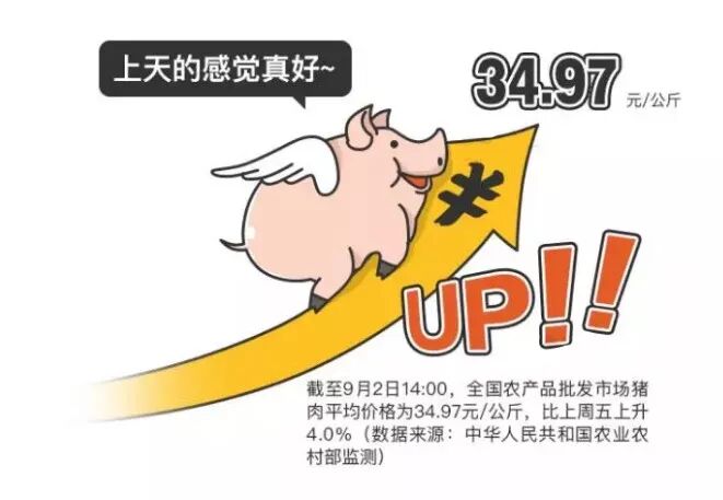 空氣能熱泵養豬