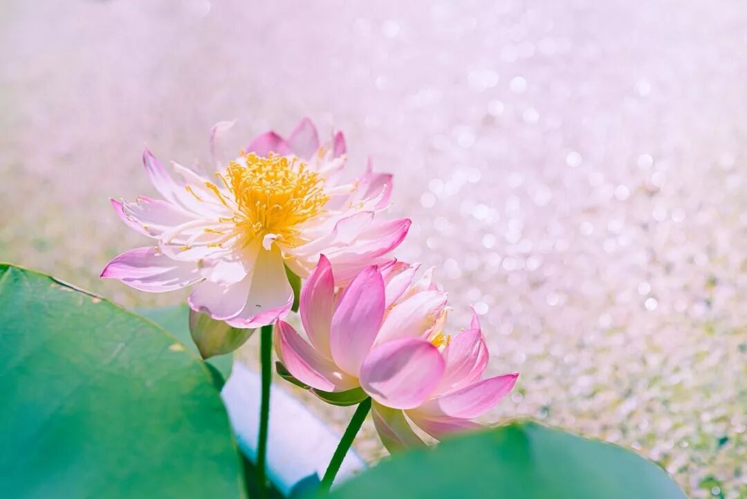 三分醉，七分饱，八分待人刚刚好