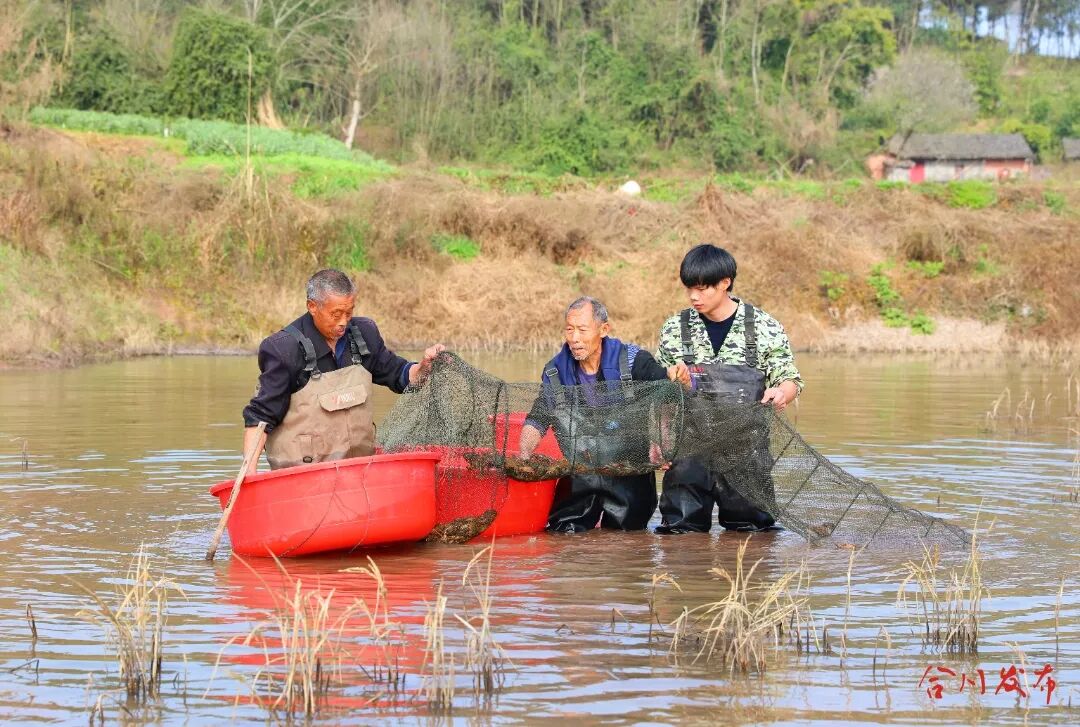 古万松和工人们再捕虾_副本.jpg